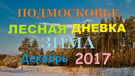 ПОДМОСКОВЬЕ ЗИМНЯЯ ДНЕВКА  ДЕКАБРЬ 2017