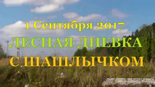 ЛЕСНАЯ ДНЕВКА с шашлычком  1 Сентября 2017