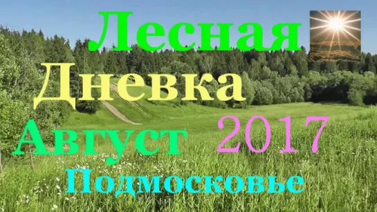 Лесная Дневка Подмосковье Август 2017