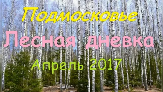 Подмосковье. Лесная дневка Апрель 2017