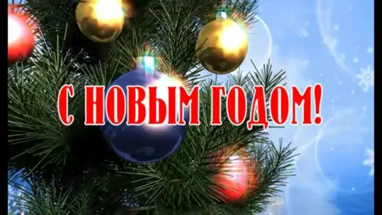 Предновогодняя Лесная прогулка Подмосковье 28.12.16