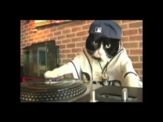 DJ КотЭ