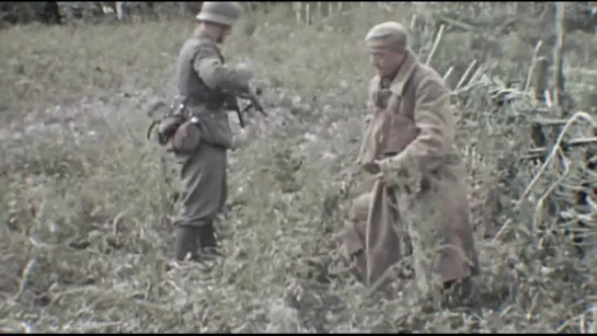 За строчкой архивной… (Закрытый архив). 12. «Охота на зайцев»