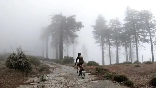 nature. gravel. bike