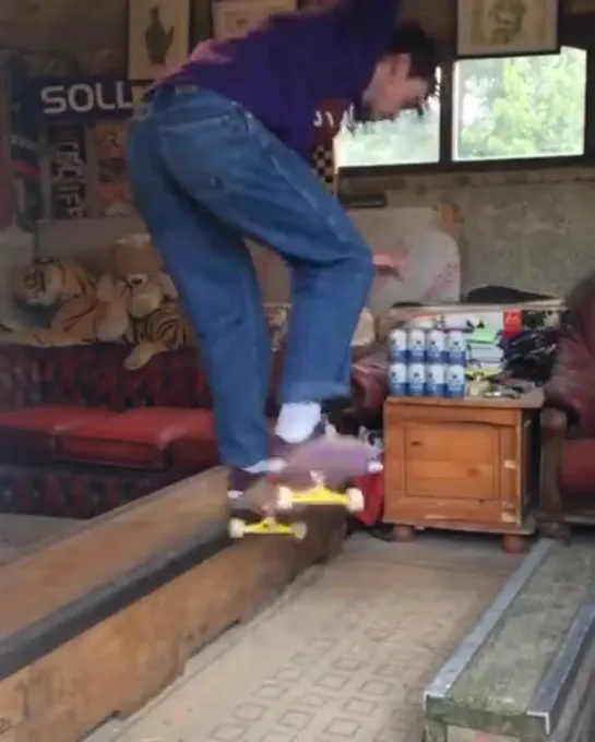 скейт. skateboard. home