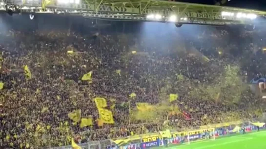 BVB fans. football