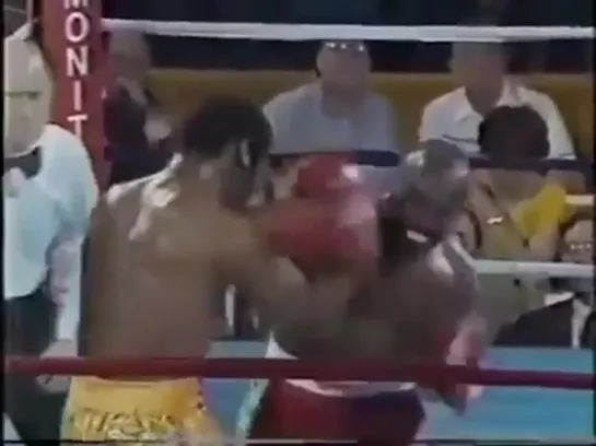 Dwight Muhammad Qavi vs Leon Spinks #бокс