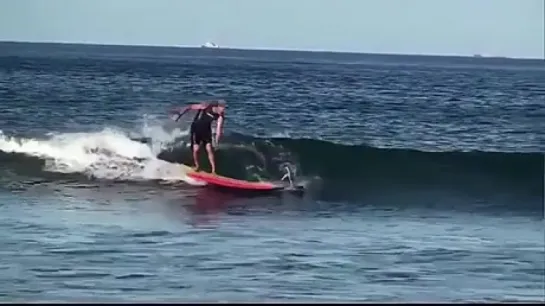 Robo Surfing