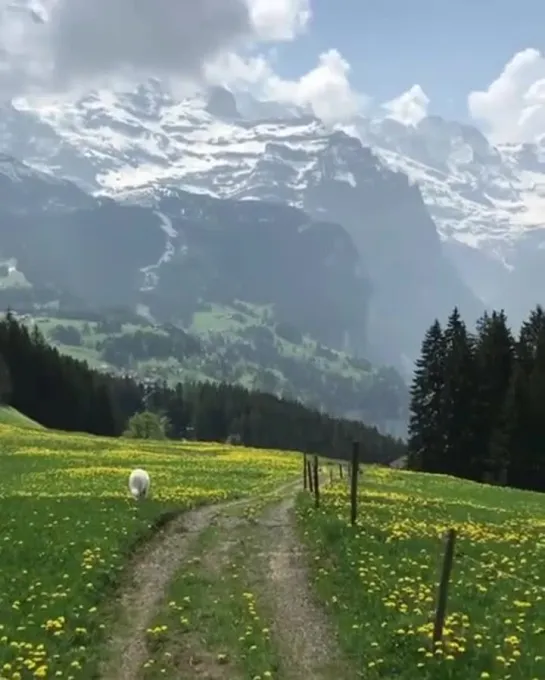 Switzerland