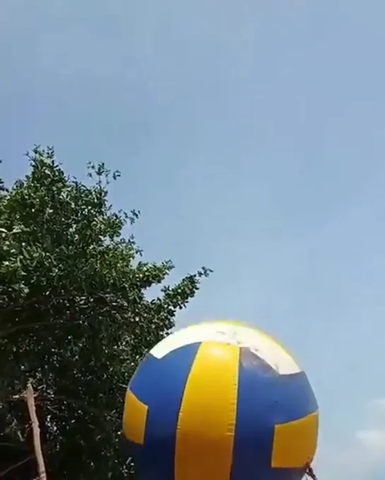 volleyball