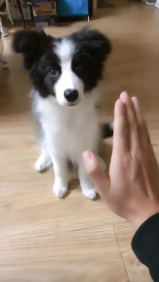 high five.