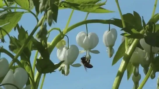 Привет весне 🌷