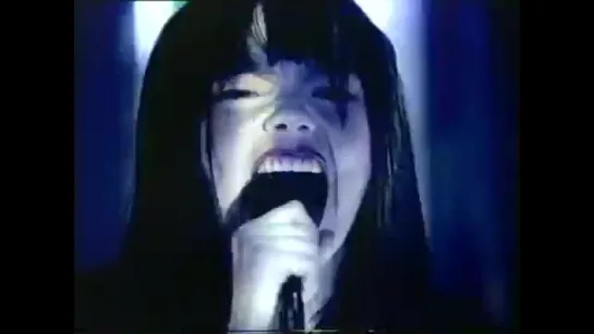 Bjork  & Skunk Anansie - Army of Me [Live]