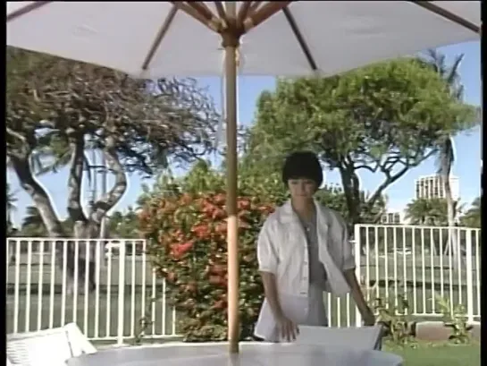 Noriko Sakai 酒井法子 - Video File [DVD]Noriko Sakai Vol.1 1986-1988