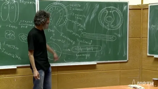 Лекция 10. Многоклеточные животные. Часть 1. Окштейн И.Л., МФТИ