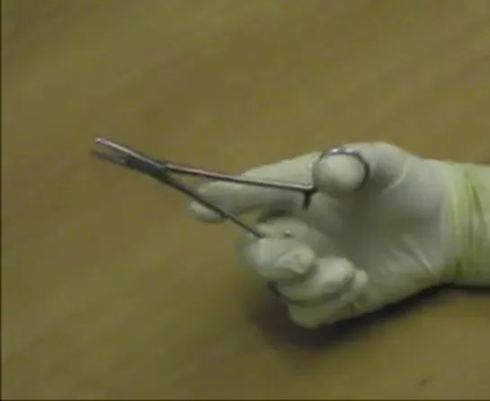 Holding Forceps