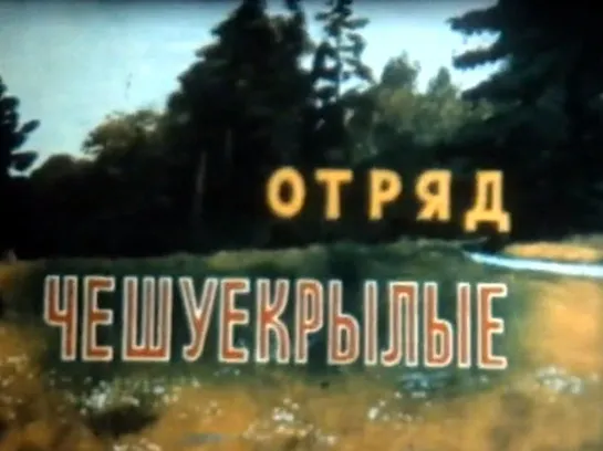 Отряд чешуекрылые _ 1973