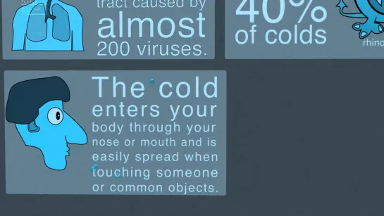 Common Cold — What is it?