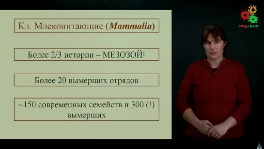 Зоология позвоночных. Разнообразие млекопитающих (Литвинова Е. М.) (1)