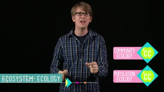 Ecosystem Ecology_ Links in the Chain - Crash Course Ecology #7