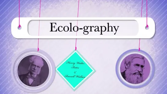 Community Ecology II_ Predators - Crash Course Ecology #5