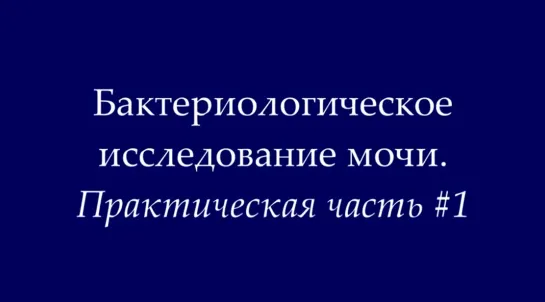 Бактериологическое исследование мочи (бакпосев). Практикум #1