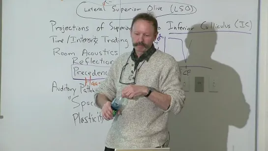 21. Sound localization 2: Superior olivary complex and IC