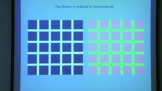 9. Illusions and visual prosthesis