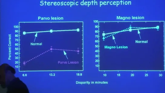 5. The Midget and Parasol systems