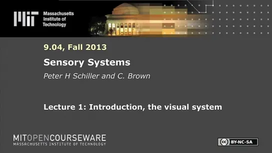 1. Introduction, the visual system