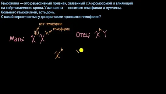 Пример  с решеткой Пеннета и вероятность гемофилии (видео 6) _ Классическая генетика _ Биология