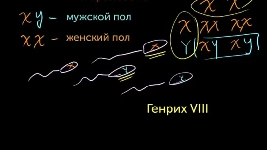 Индивидуальные черты, сцепленные с полом (видео 5) | Классическая генетика | Биология