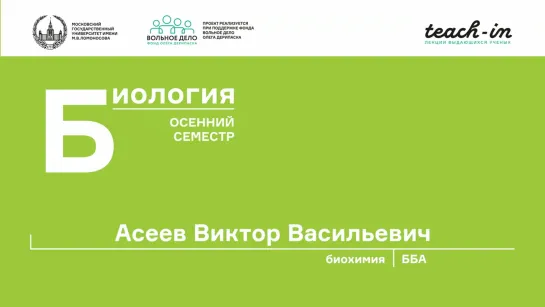 10 --Асеев В. В. - Основы биохимии - Структура белков