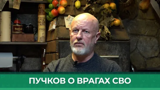 «Паскуды всякие всегда за Гитлера»: Дмитрий Пучков высказался о противниках СВО