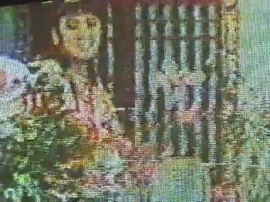 Taiwan Video Club (Lana Lin, 1999)