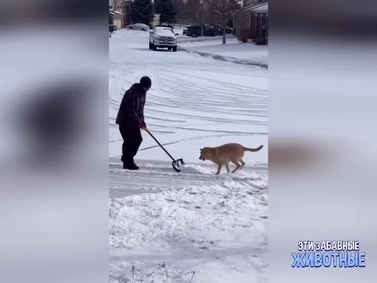 Скоро! Во всех дворах!