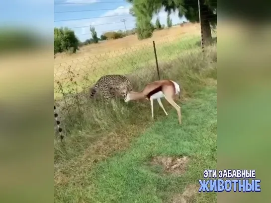 Вот и познакомились