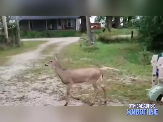 Когда  делаешь вид...