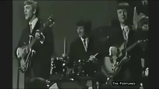 The Fortunes - You've Got Your Troubles, I've Got Mine 1965