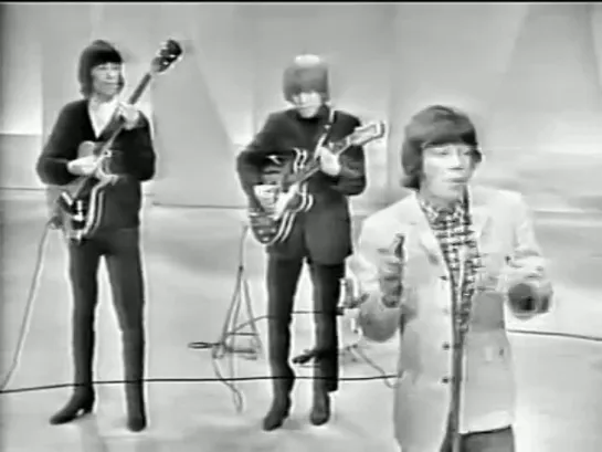 THE ROLLING STONES- Little Red Rooster 1964