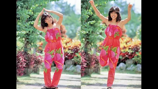 Akina Nakamori  【中森明菜】照片集 Photo Collection.