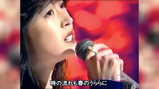 Akina Nakamori 中森明菜　愛染橋 Aizenbashi.　Cover