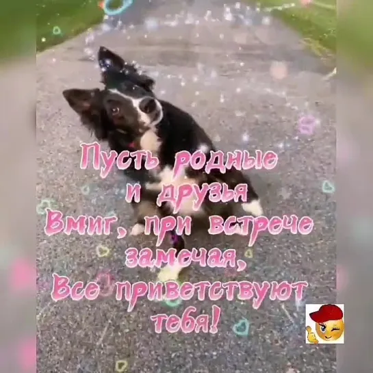 Я посылаю тебе привет🌺