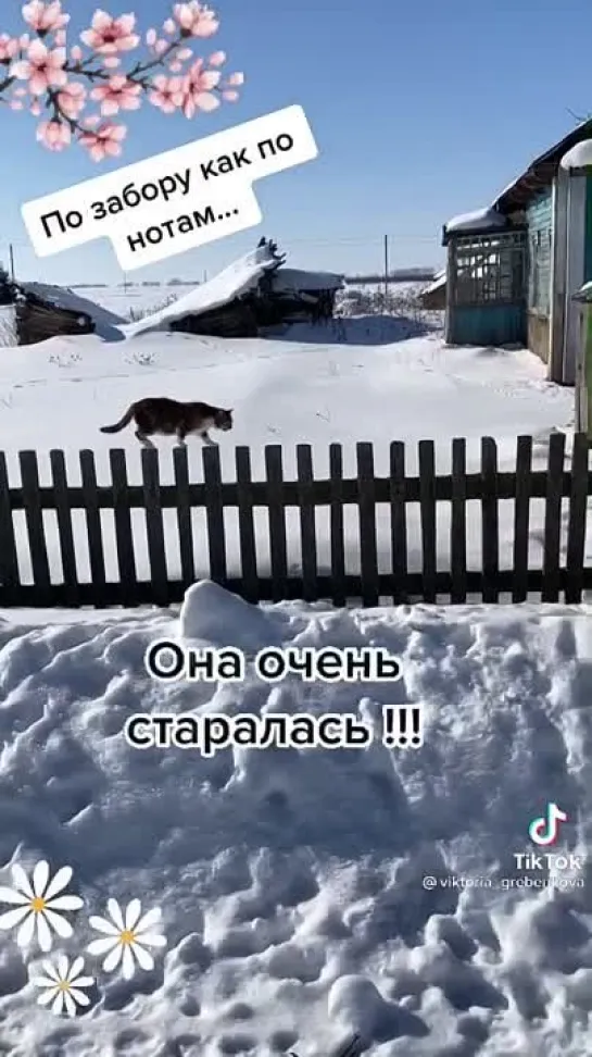 Я деревенская😻