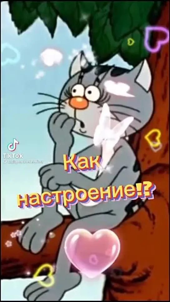 Привет🤩 Как дела?🧐