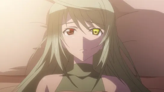 IS: Infinite Stratos - 08