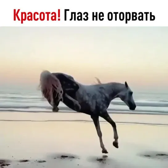 Я свобоооооооден...