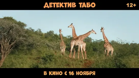 Детектив Табо (смотрите в кино с 16 ноября)