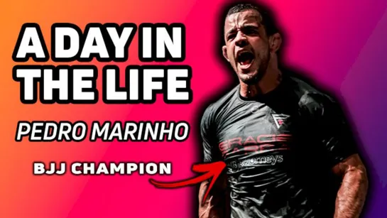 A Day In The Life Of A WNO Champion- Pedro Marinho