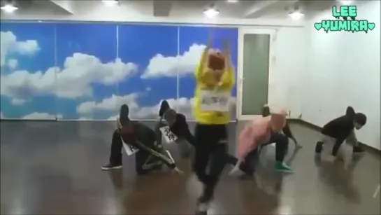 EXO - WOLF (Dance Practice)